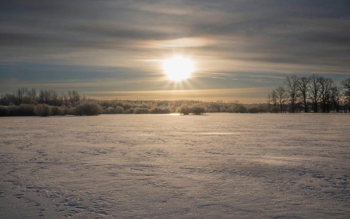 What First-Time Land Buyers Around Hugo, Oklahoma Often Overlook